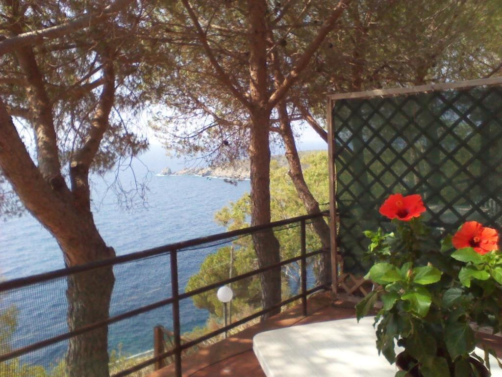 Residence La Calle Isola D'Elba Экстерьер фото